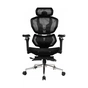 Крісло ігрове GT Racer X-7002 Black (X-7002 Black/Black) - зменшене зображення 1