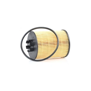 Фільтр масляний Champion COF100519E зображення 1