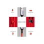 Дата кабель USB 2.0 AM to USB-C 1.0m 6A US505 red Ugreen (20527) - зменшене зображення 6