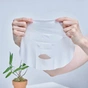 Маска для обличчя Dr. Plant Aloe Vera Hydrating Silk Sheet Mask (4582538100217) - зменшене зображення 2