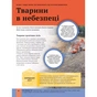Книга Дитяча енциклопедія довкілля Vivat (9786171704831) - зменшене зображення 6