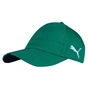 Кепка Puma Liga Cap 022356-04 зелений OSFA (4060981735045) - зменшене зображення 1