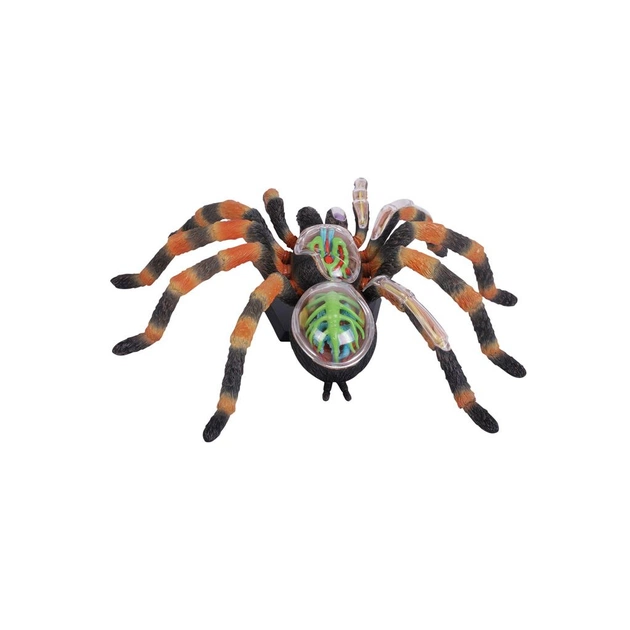 Пазл 4D Master Павук Тарантул (FM-622032) - picture 3