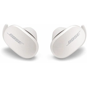 Навушники Bose QuietComfort Earbuds Soapstone (831262-0020) зображення 1