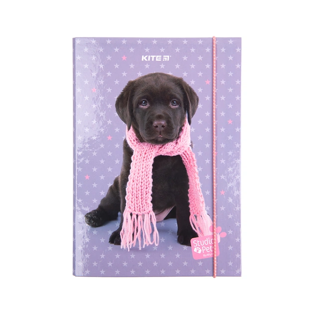 Папка для зошитів Kite В5 на гумці Studio Pets, картон (SP23-210) - picture 2