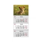 Календар Axent настінний квартальний 2027 р.,3 пр. Animals 3 (8803-27-33-A) - зменшене зображення 1