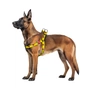 Шлея для собак WAUDOG Nylon з QR паспортом "Супермен 2" пластиковий фастекс XL (324-2014) - зменшене зображення 3