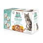 Вологий корм для кішок Brit Care Fillets in Gravy Flavour box Sterilized 12х85 г (8595602565337) - зменшене зображення 1