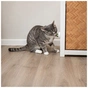 Игрушка для кошек Trixie Шар из кошачьей мяты с держателем 5 см (4011905422428) - уменьшенное изображение 4