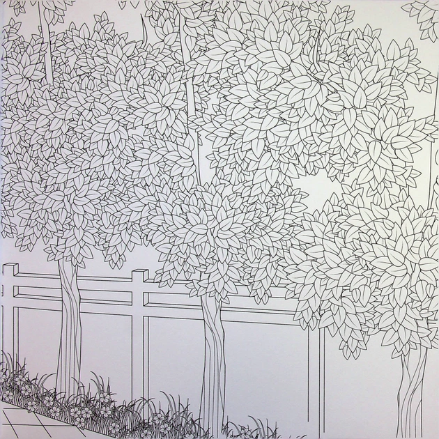 Книга Міські джунглі - Сара Муціо Жорж (9786178287214) - picture 12