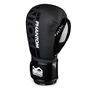 Боксерські рукавички Phantom APEX Speed Black 16oz (PHBG2024-16) - зменшене зображення 2