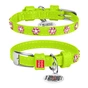 Нашийник для тварин WAUDOG Glamour з QR-паспортом "Квіти" S Ш 20 мм Д 30-39 см салатовий (32025) - зменшене зображення 1