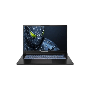Ноутбук Dream Machines RG5050-17 (RG5050-17UA36) зображення 1