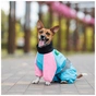 Комбінезон для тварин Pet Fashion Milly XL (коргі) (4823082439768) - зменшене зображення 4