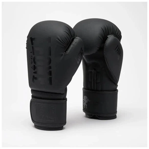 Боксерские перчатки Leone GN058 Tone X Black 10 oz (GN058_Black_10oz) изображение 1