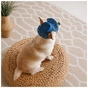 Кепка для животных Pet Fashion Stars S (4823082446124) - уменьшенное изображение 6