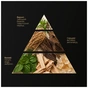 Ароматизатор для автомобиля Vitol Osvizhuvach povitrya VITOL Black Label Royal Wood II 8ml V230402 (V230402) - уменьшенное изображение 8