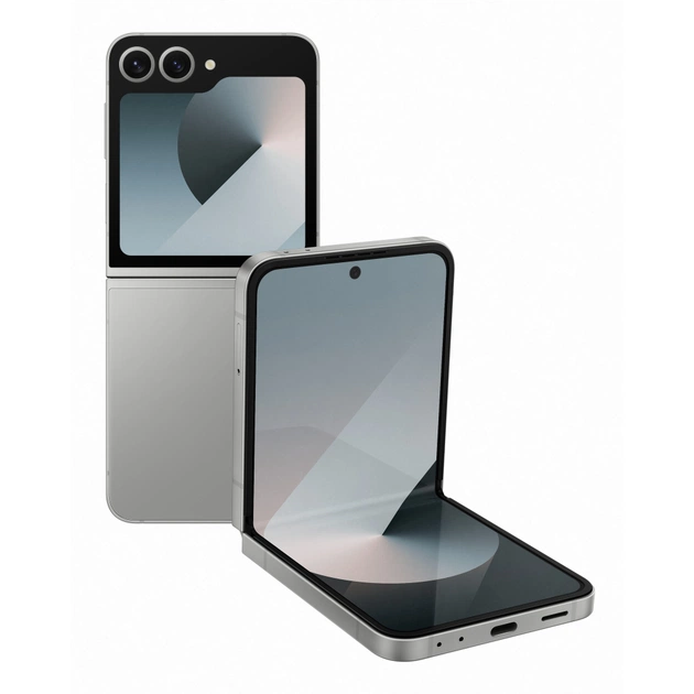 Мобільний телефон Samsung Galaxy Flip6 12/256Gb Silver Shadow (SM-F741BZSGSEK) - зображення 1
