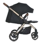 Коляска El Camino Dynamic PRO ME 1053G-2 (special black) (1053G-2 special black) - зменшене зображення 4