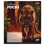 Зошит 1 вересня Beasts in Focusg А5 60 аркушів клітинка (768062) - зменшене зображення 2