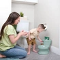 Горщик Ingenuity My Size Potty Pro унітаз дитячий (11124) - зменшене зображення 15