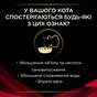 Вологий корм для кішок Purina Pro Plan Veterinary Diets DM ST/OX Diabetes Management З куркою 10 x 85 г (8445290093493) - зменшене зображення 5