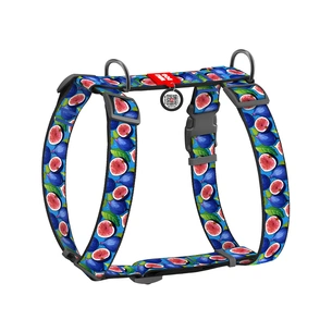 Шлея для собак WAUDOG Nylon з QR-паспортом анатомічна H-подібна "Інжир" пластиковий фастекс М (321-4053) зображення 1