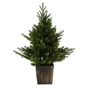 Штучна ялинка Chomik в горщику з підсвіткою 90 LED, 90 см (5900779899087) - уменьшенное изображение 1
