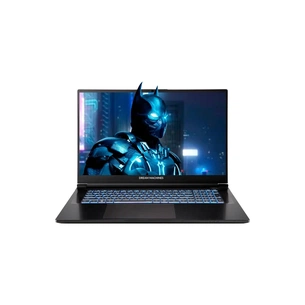 Ноутбук Dream Machines RG5070-17 (RG5070-17UA27) зображення 1