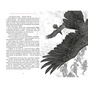 Книга Заклятий меч, або Голос крові - Володимир Аренєв А-ба-ба-га-ла-ма-га (9786175852026) - зменшене зображення 3