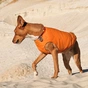 Жилет для тварин Pet Fashion "E.Vest" M2 помаранчевий (4823082424320) - зменшене зображення 4