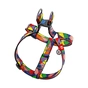 Шлея для собак WAUDOG Nylon з QR паспортом "Вітраж" пластиковий фастекс XL (324-0051) - уменьшенное изображение 2