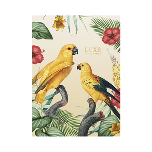 Зошит Школярик А4 Student лінія 40 аркушів (A4-040-548L) зображення 1