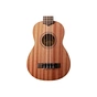 Укулеле Kala Learn To Play Soprano Ukulele Starter Kit (231433) - уменьшенное изображение 4
