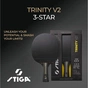 Ракетка для настільного тенісу Stiga Ракетка для настільного тенісу Stiga Trinity 3 Star ver.2 FL (1213-1208-3 (931706) - уменьшенное изображение 7