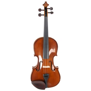 Скрипка Stentor Student I Violin Outfit 3/4 (1400C2) зображення 1