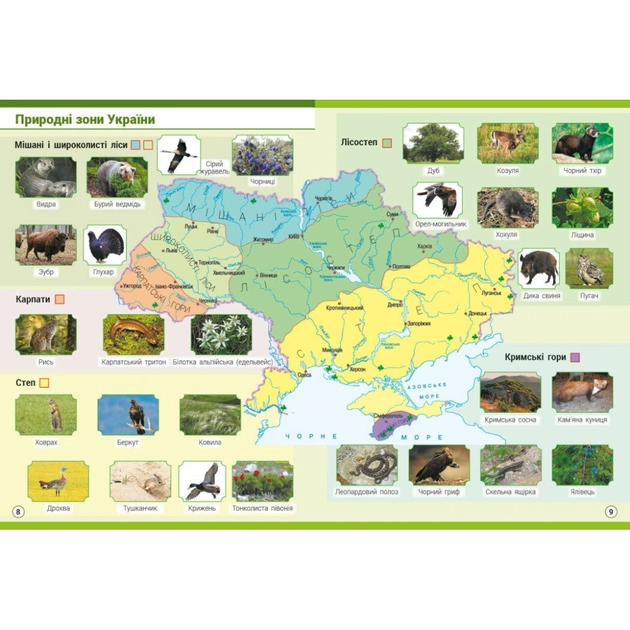 Атлас НУШ Я досліджую світ. 4 клас Ранок (9786170970008) - picture 5