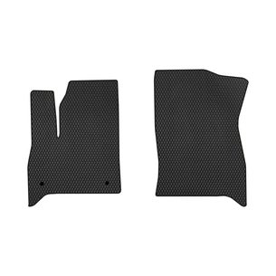 Килимок в салон EVAtech передні Buick Enclave 2017+ 2 поколі (BK42341A2RN2RBB) зображення 1