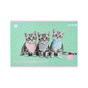 Альбом для малювання Kite Studio Pets, 12 аркушів (SP25-241) - зменшене зображення 3
