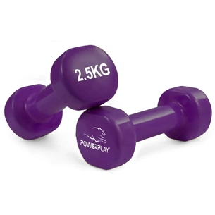 Гантель PowerPlay вінілові 4125 Achilles 2 х 2.5 кг Фіолетові (PP_4125_2.5kg_2in) зображення 1