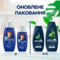 Шампунь Schauma Men з екстрактом хмелю для щоденного догляду 250 мл (4012800567658) - уменьшенное изображение 3