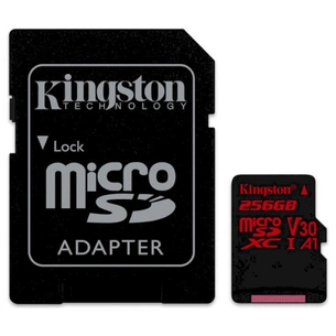 Карта пам'яті Kingston 256GB microSDXC class 10 UHS-I U3 (SDCR/256GB) зображення 1