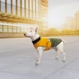 Попона для тварин Pet Fashion ROY 2XL хакі-гірчиця (4823082432844) - уменьшенное изображение 7