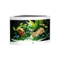 Акваріум Juwel Trigon 190 LED 99x60x70 см 190 л кутовий (білий) (4022573164503) - зменшене зображення 1