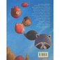 Книга Єнотик Бо і повітряна куля. Книга 1 - Ірина Лазуткіна Видавництво Старого Лева (9786176795674) - зменшене зображення 2