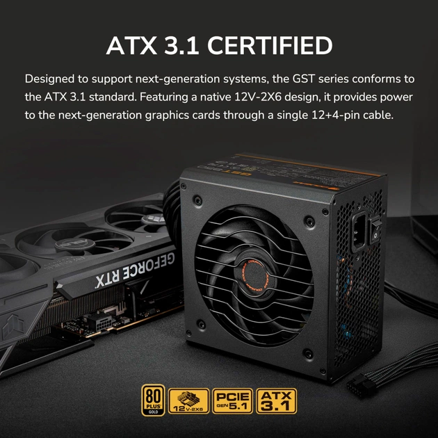 Блок живлення Cougar 850W (GST850) - picture 11