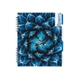 Блокнот Optima Flowers, B5 з розділювачами 120 аркушів, клітинка (O20356-14) - зменшене зображення 1