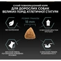 Сухий корм для собак Purina Pro Plan Large Athletic Adult 2+ Sensitive Digestion Для великих порід атлетичної статури З ягням 14 кг (7613035415591) - зменшене зображення 7
