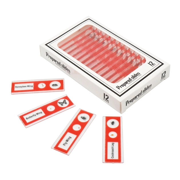 Набір мікропрепаратів Sigeta Entrance Будова комах (12 шт) (65122) - picture 2