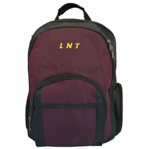 Рюкзак для ноутбука LNT 15.6" BN115 (LNT-BN115G-RD) зображення 1
